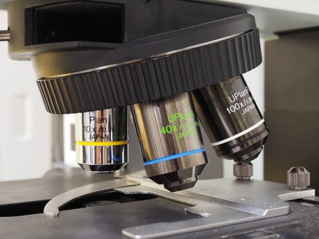 ©  Conférence des président d'université - Université Bretagne Sud