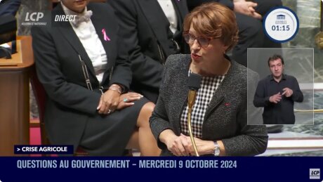 ©  Capture d'écran - Assemblée nationale