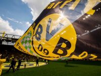 ©  BVB