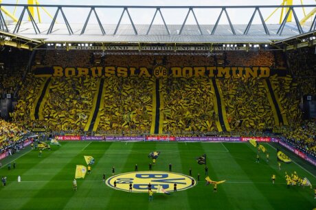 ©  BVB