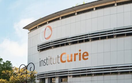 ©  Institut Curie