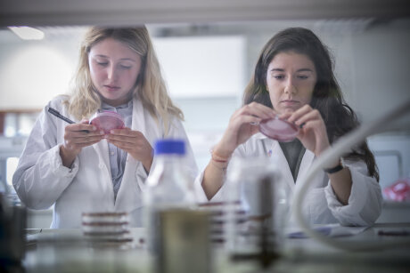 ©  France Universités- Université de Haute-Alsace