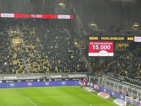 ©  BVB