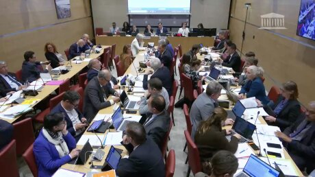 ©  Assemblée nationale / Capture d'écran