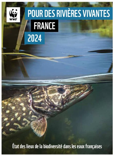 ©  WWF
