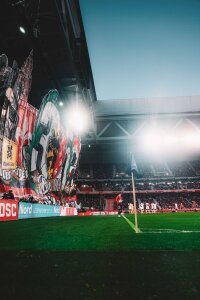 ©  LOSC Lille