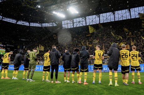 ©  BVB