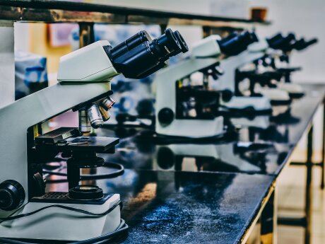 ©  Photo by Ousa Chea on Unsplash