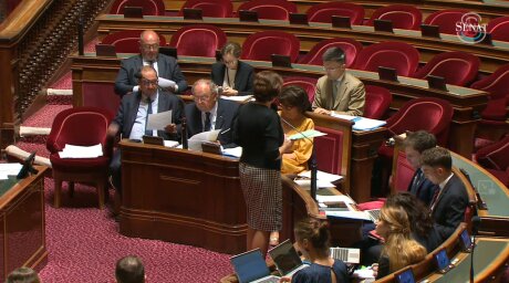 ©  Capture d'écran - Sénat