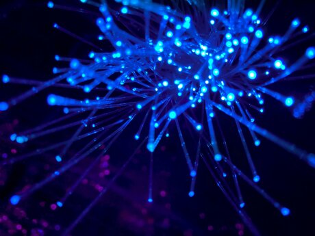 ©  JJ Ying (Unsplash)