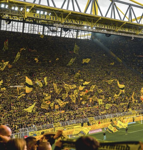 ©  Borussia Dortmund