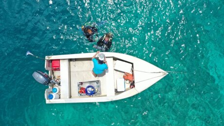 ©  Anthony LAGANT / CRIOBE / CNRS Photothèque Anthony LAGANT / CRIOBE / CNRS Photothèque