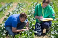 ©  Pascal Xicluna/Min.Agri.Fr