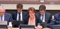 ©  Capture d'écran - Assemblée nationale
