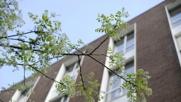 L’Inalco recrute un ou une directeur(-trice) administratif(-ve) des relations internationales