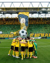 ©  BVB