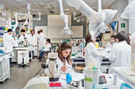 ©  Institut Pasteur