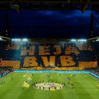 ©  BVB