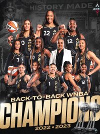 ©  Las Vegas Aces / X