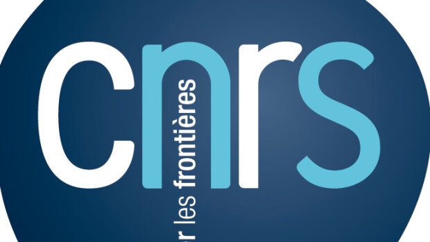 Le CNRS Occitanie Ouest recrute un ou une chef(-fe) de projet informatique