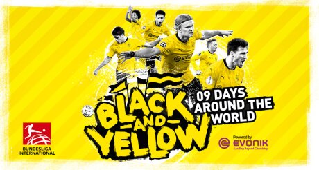 ©  BVB