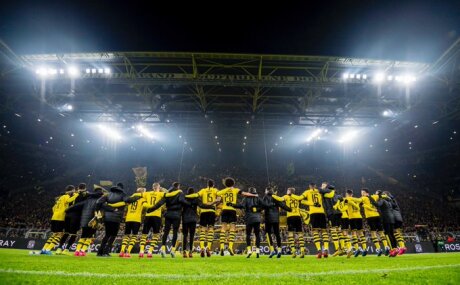 ©  BVB