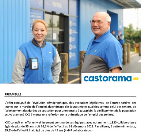 ©  Castorama