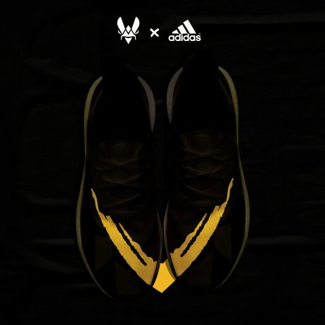 ©  adidas x Team Vitality