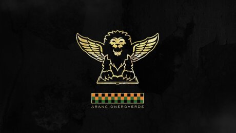 ©  Venezia FC
