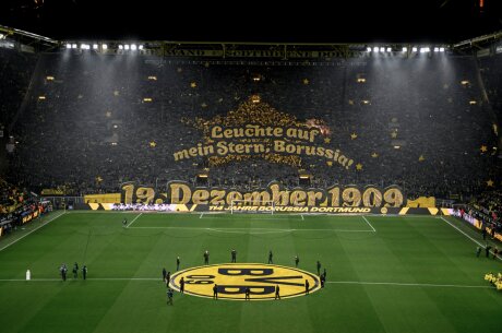 ©  BVB