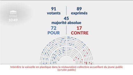©  Assemblée nationale (capture d'écran)