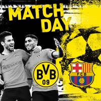 ©  BVB
