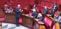 ©  Assemblée nationale (capture d'écran)