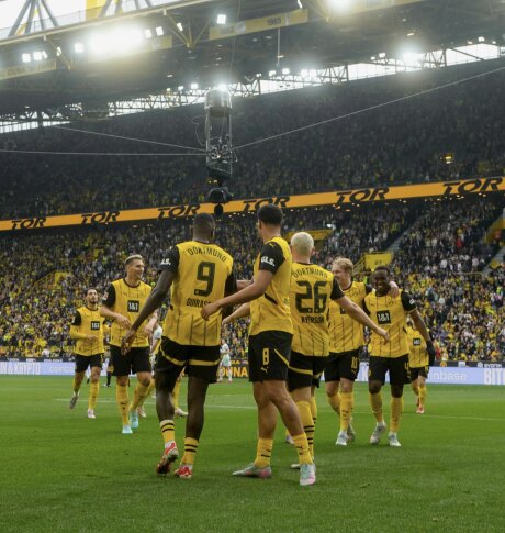 ©  BVB