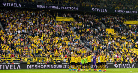 ©  BVB