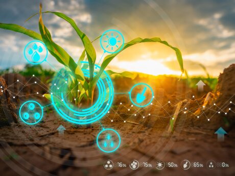 ©  Getty Images/iStockphoto