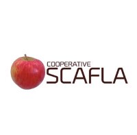 ©  SCAFLA