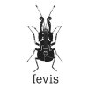 FEVIS - Fédération des Ensembles Vocaux et Instrumentaux Spécialisés
