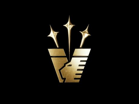 ©  Venezia FC