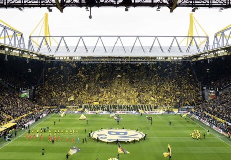 ©  BVB