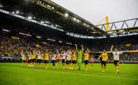 ©  BVB