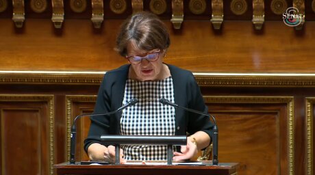 ©  Capture d'écran - Sénat