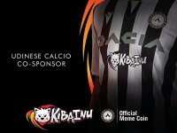 ©  Udinese Calcio