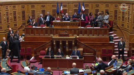 ©  Sénat / Capture d'écran