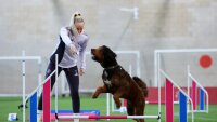 ©  WSL Football