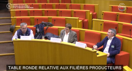 ©  Sénat / capture d'écran