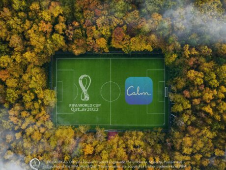 ©  FIFA