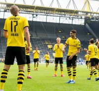 ©  BVB