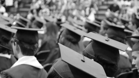 Verifdiploma s’impose en traquant les faux diplômes