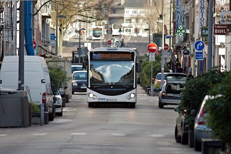 ©  CC BY 2.0 - Frédéric Bisson, Wikimedia commons